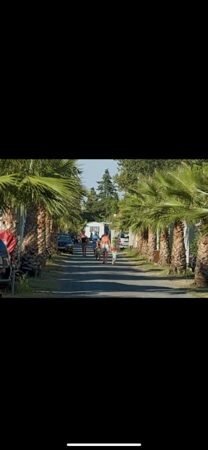 Camping 4 Etoiles Le Bosc Saint Cyrpien Mobil Home Bagian luar foto